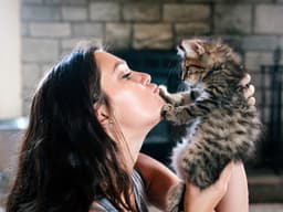 8 Myths About Your Kitten—Busted By a Behaviorist