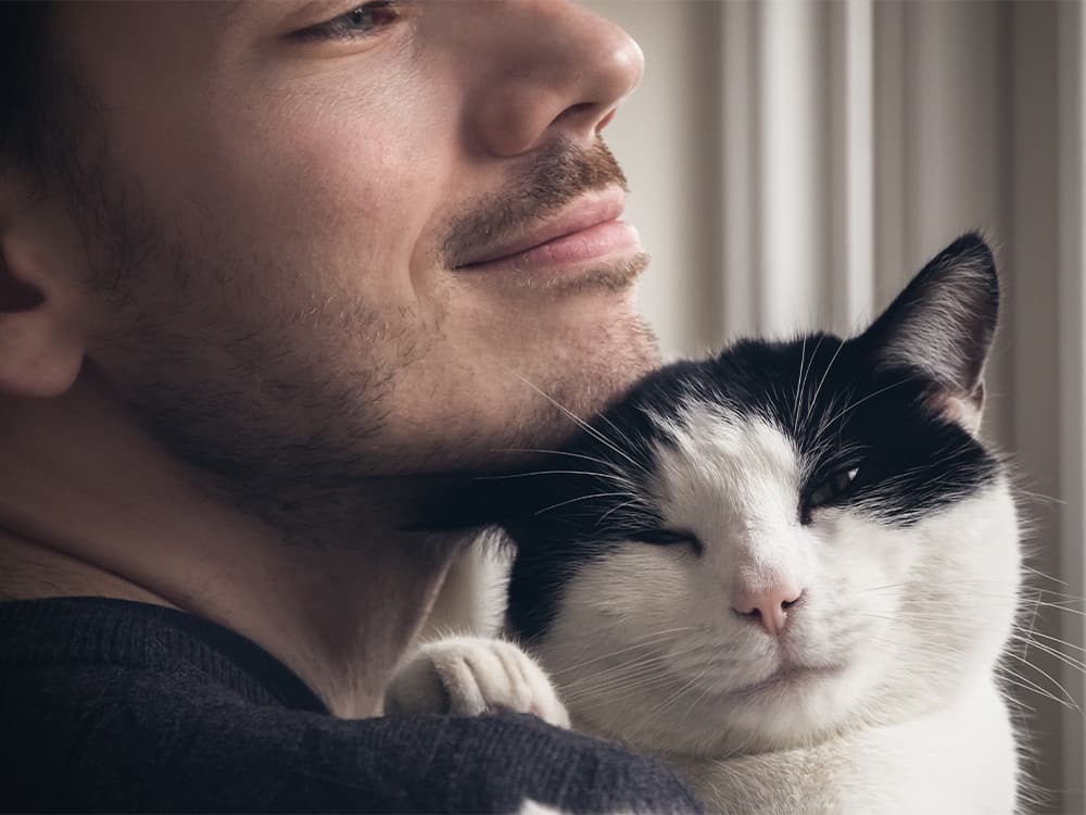 What’s Your Cat’s Love Language?