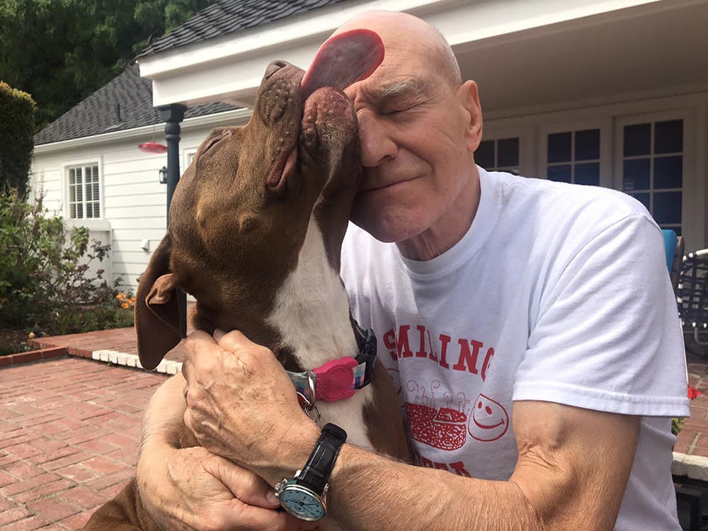 Picard’s Dog Was Inspired by Patrick Stewart’s Pit Bull Advocacy
