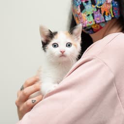 26 Pet Charities to Donate to This Giving Tuesday