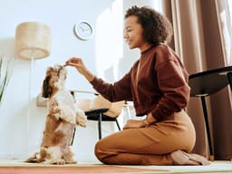 How to Use Dog Treats for Training