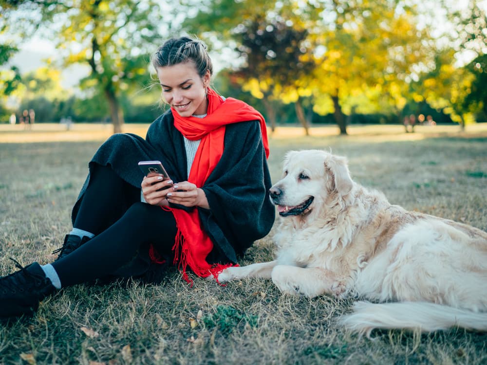 Everything You Need to Know to Care For Your Senior Dog