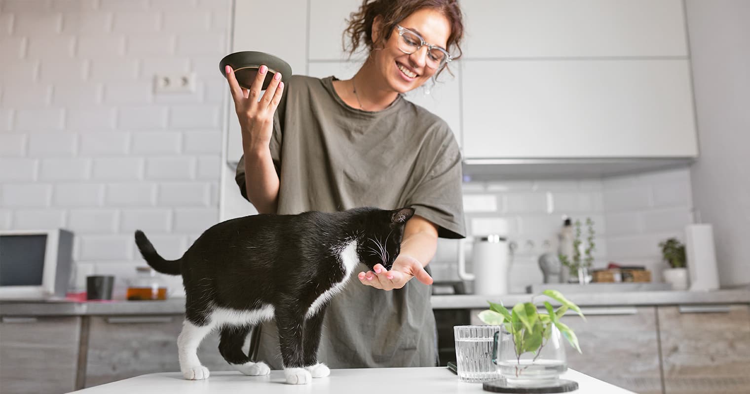 A Feeding Schedule for Your Cat