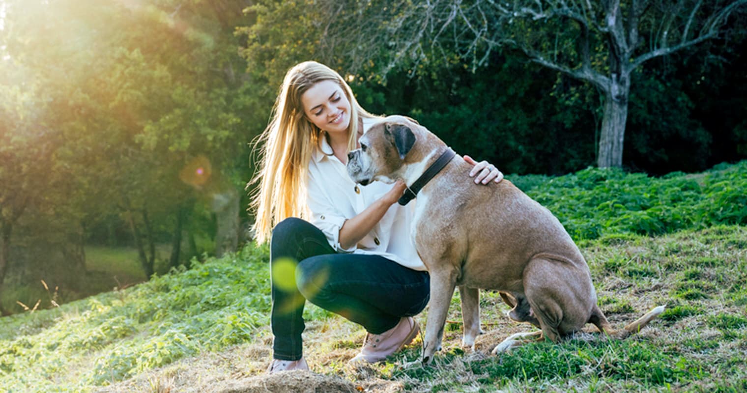 Caring for Your Senior Dog: Health Tips for Pet Parents