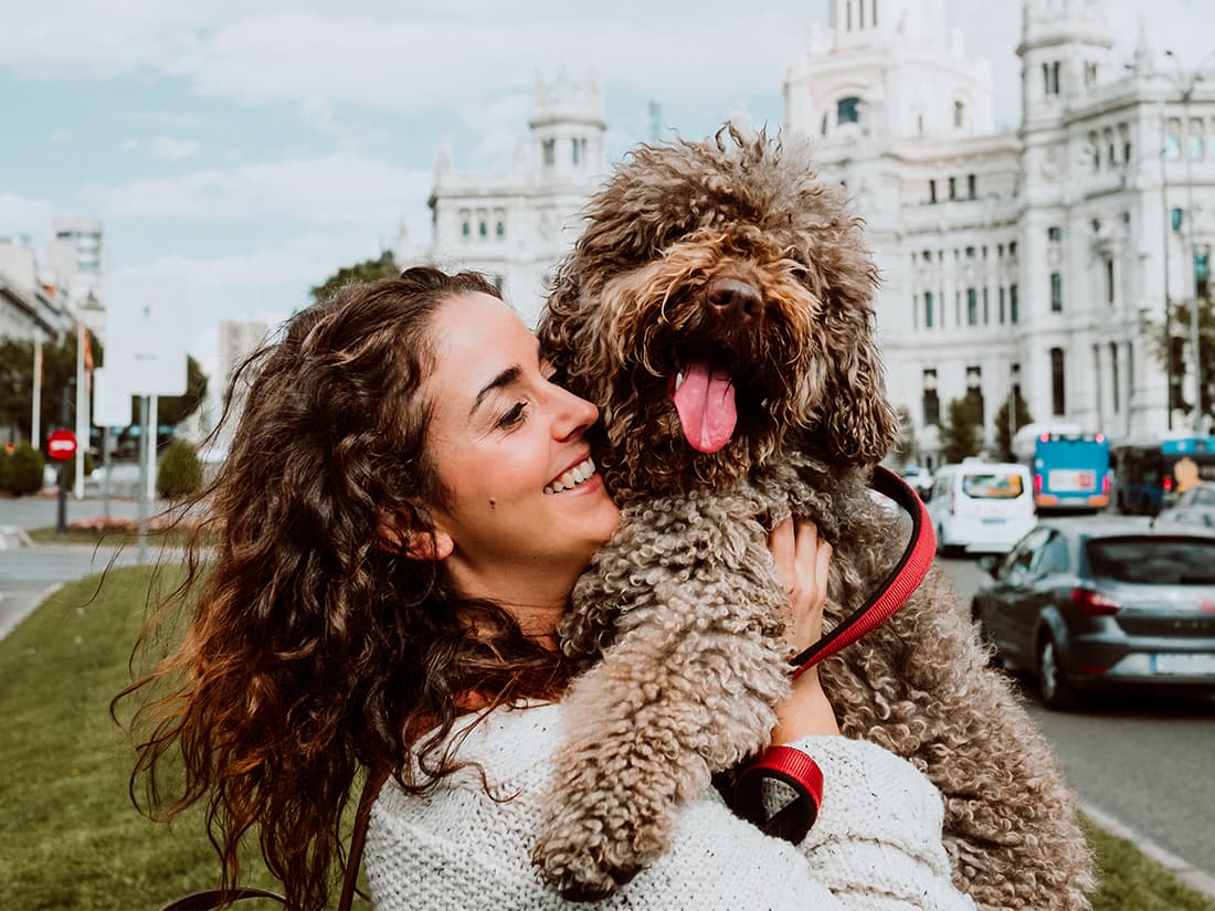 Dogs Have an Impressive Ability to Cope with Novelty