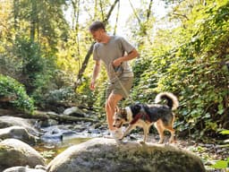 Heartworm Is on the Rise in Cats and Dogs