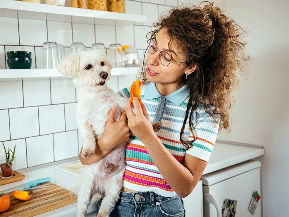 Can Dogs Eat Persimmons?