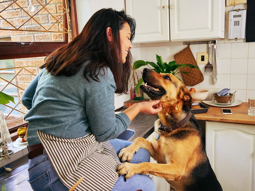 3 Reasons to Cook Your Own Dog Food