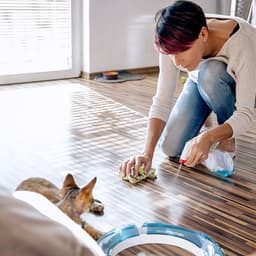 How to Get Rid of Cat Pee Smell