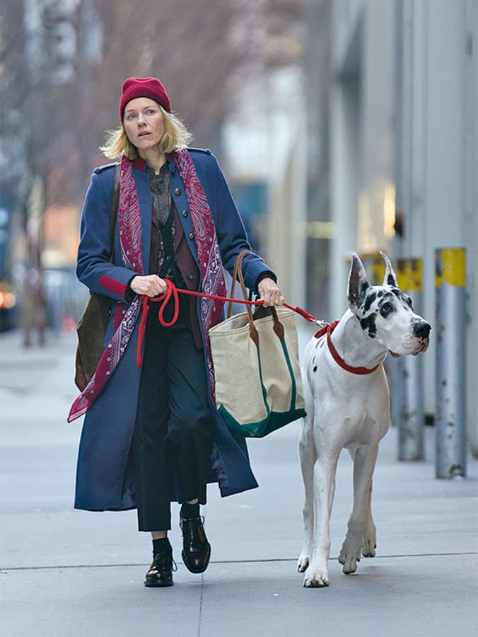 Meet Bing, the Charismatic Great Dane and Star of the New Movie, “The Friend”