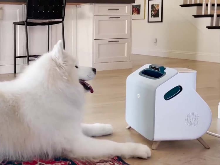 Would You Let A Robot Train Your Dog?
