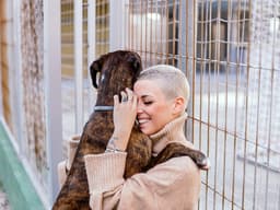 Lost Pets: How to Get Them Back