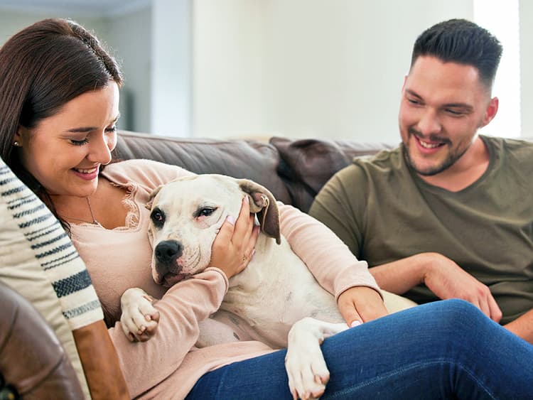 How Different Dog Breeds Show That They Love You