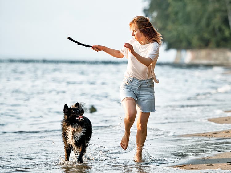 9 Warm Weather Hazards for Dogs—And How to Keep Your Pup Safe All Summer