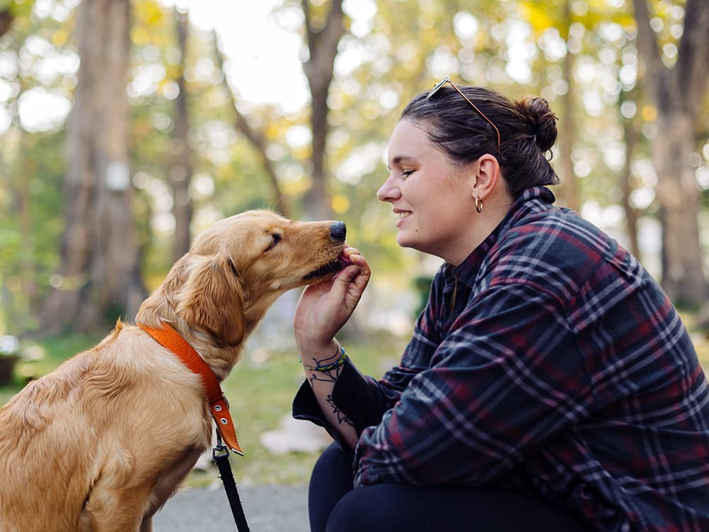 Dogs Learn More If You Pet or Praise Them (Instead of Scolding), New Study Says