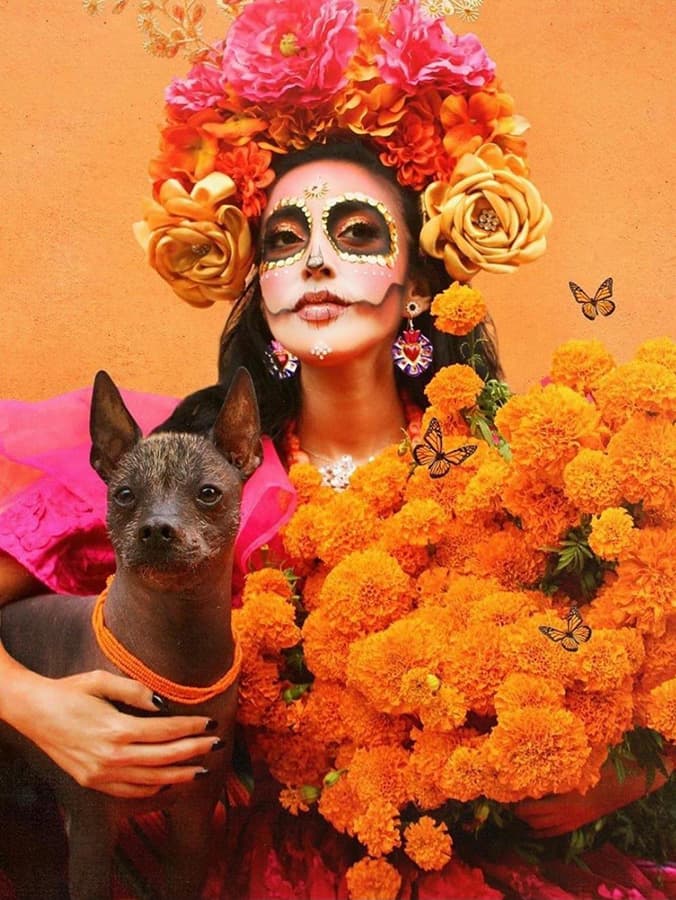 These Dogs Play a Very Special Role on the Day of the Dead