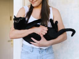 When and How to Express Your Cat’s Anal Glands
