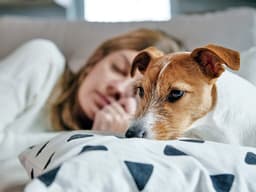 Dogs Stay Up Worrying at Night Too, Study Says