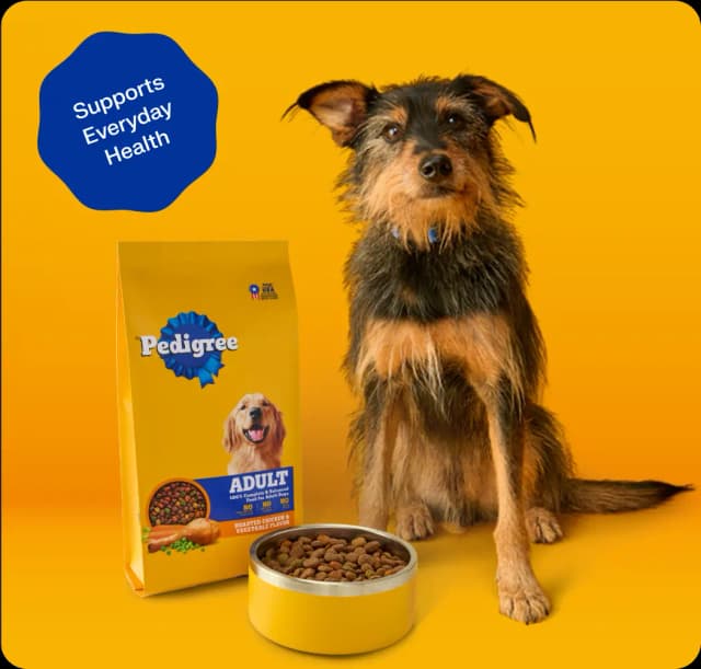 pedigree food with dog