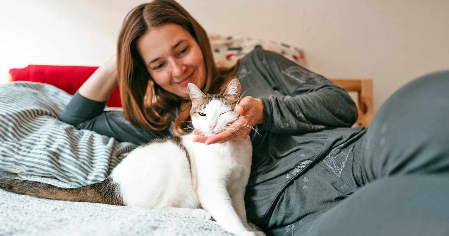 Fostering vs. Adopting: Should You Foster a Cat First?
