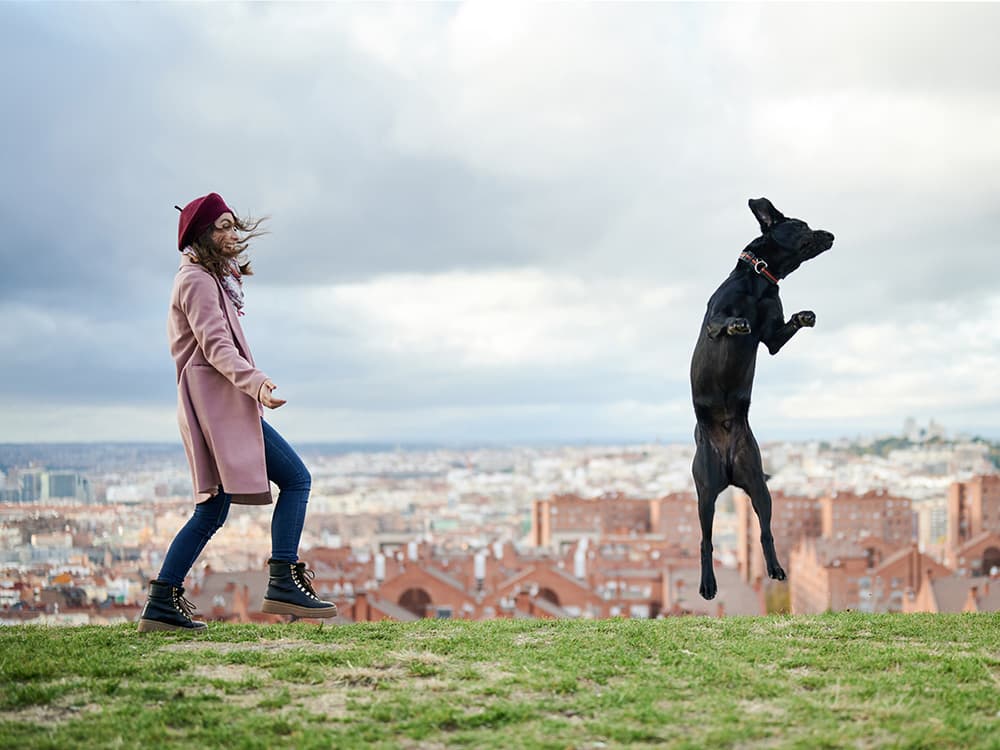 Sometimes You Just Gotta Dance — With Your Dog