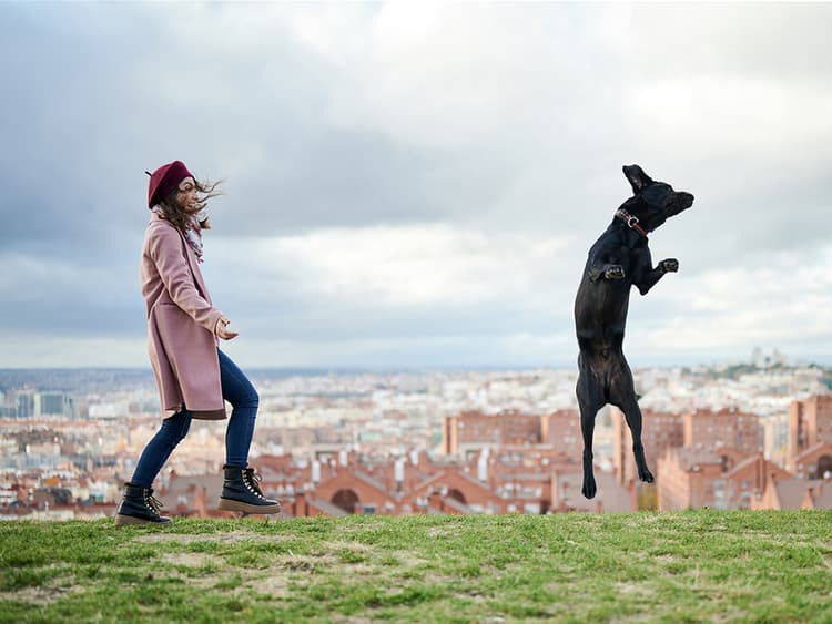 Sometimes You Just Gotta Dance — With Your Dog
