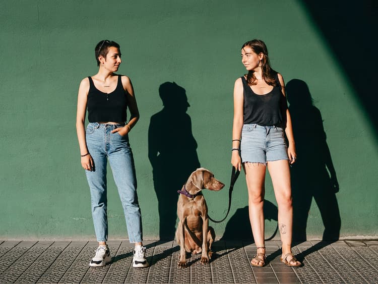 Who Gets the Dog in a Breakup?