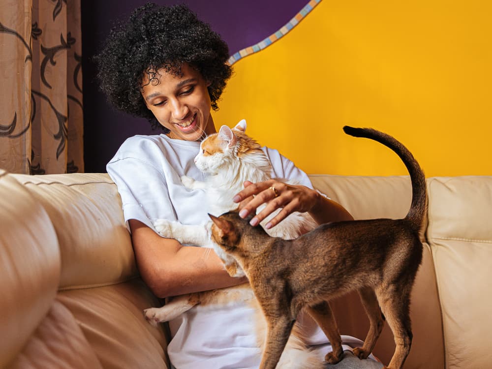 30 Strange Signs My Cat is Happy