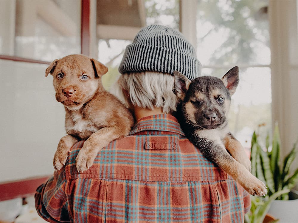 Pups Without Borders: It All Started With a (Dog Named) Storm