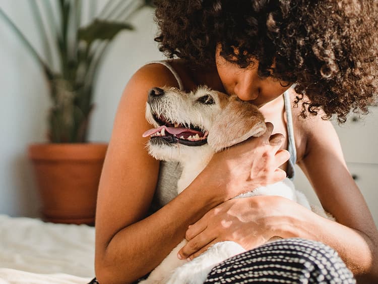 Humans + Dogs: The Longest Love Story