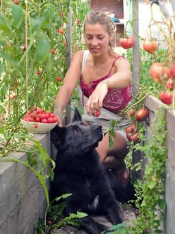 Dogs Can Thrive on a Plant-Based Diet, a Study Says—But Is It Actually Good For Them?