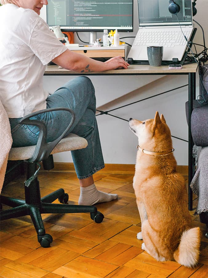 7 Ways to Get Your Dog to Stop Doing Something Naughty without Saying “No”