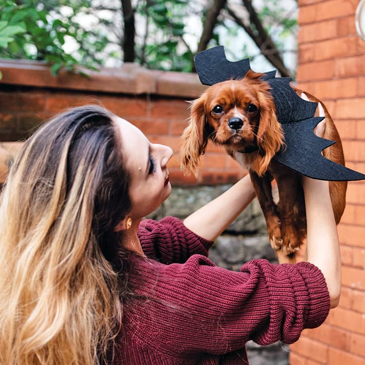 7 Surprising Things Dogs Hate About Halloween