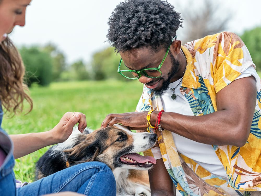 These 10 States Have the Highest Risk of Pet Illness, New Research Finds