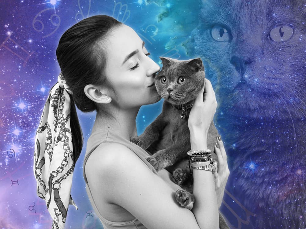 What Cat Breed Are You Based on Your Zodiac Sign?