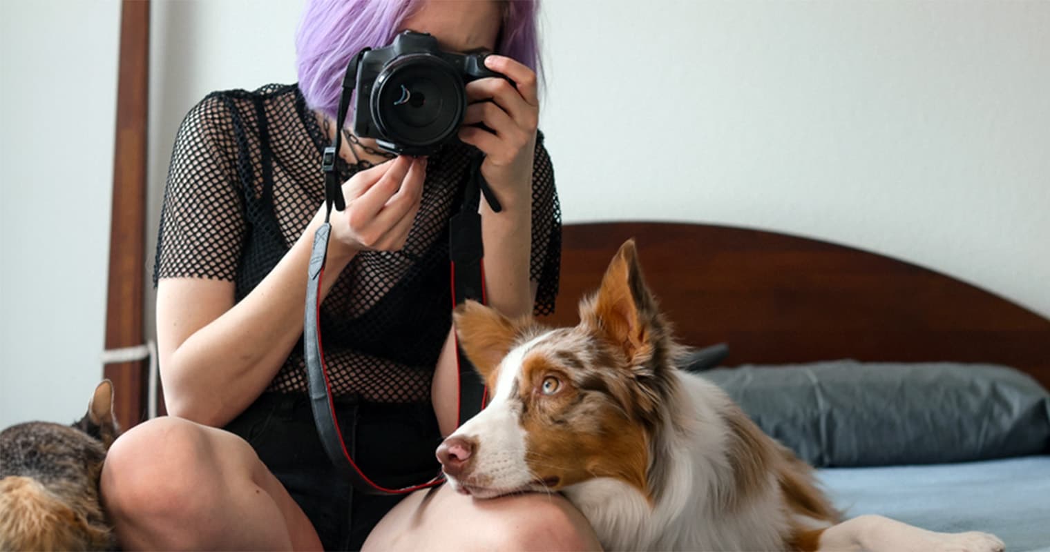 How Do I Find a Good Home for My Australian Shepherd?