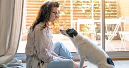 Why Do Dogs Whine? Tips to Help Your Dog Stop Whining