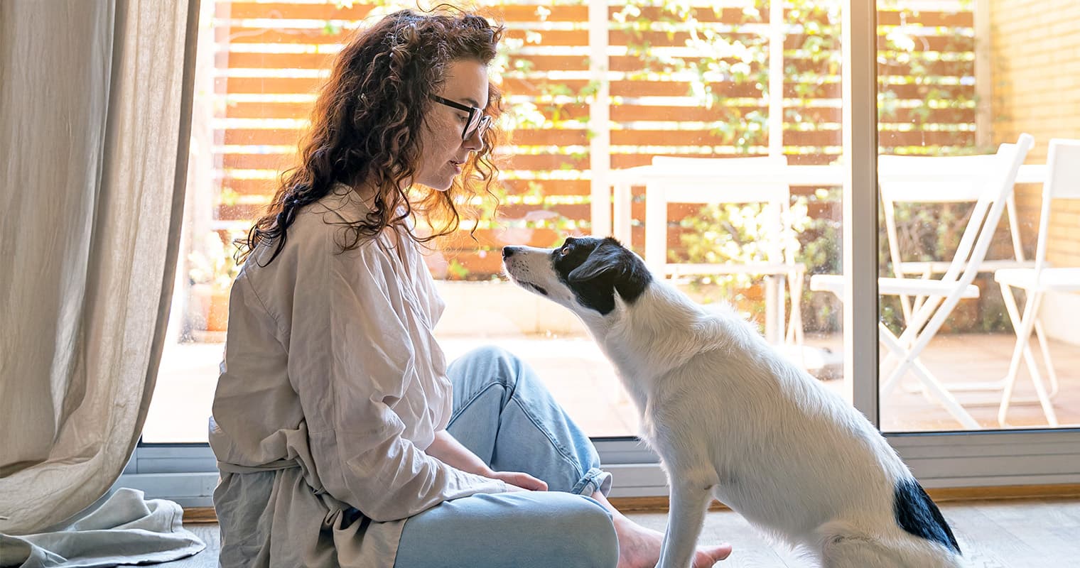 Why Do Dogs Whine? Tips to Help Your Dog Stop Whining