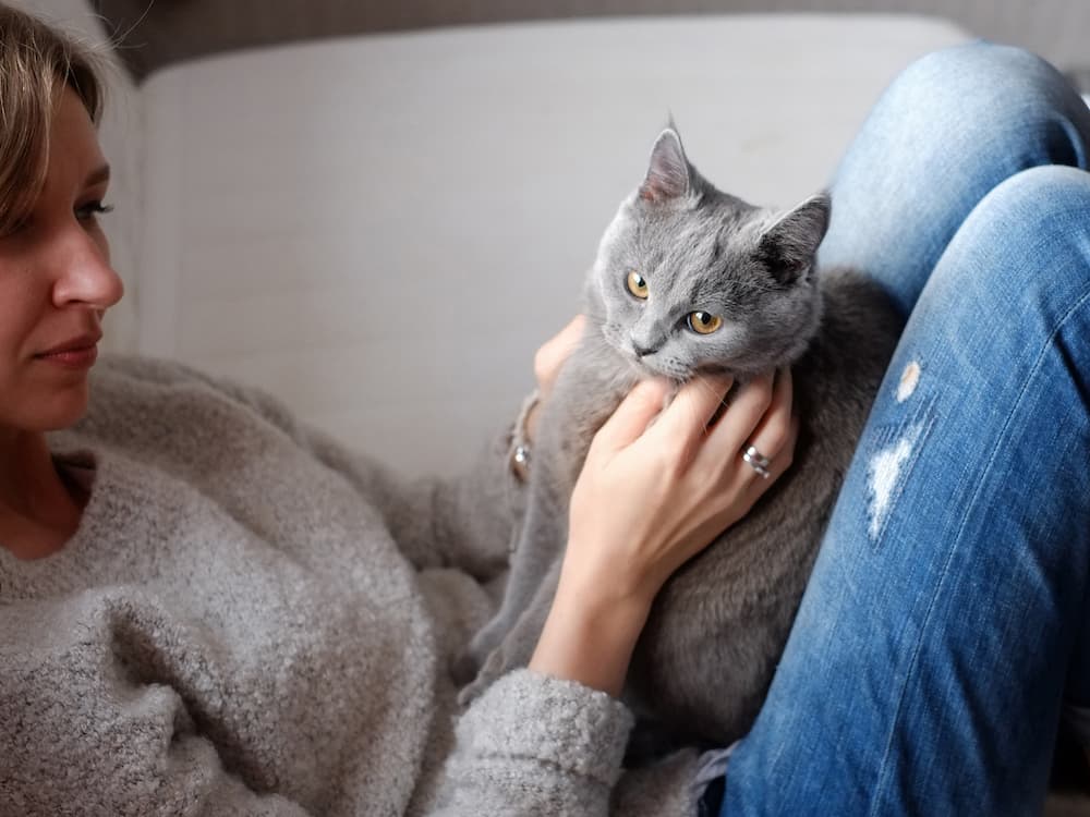 Are Cats the Most Toxic Pets on the Planet?