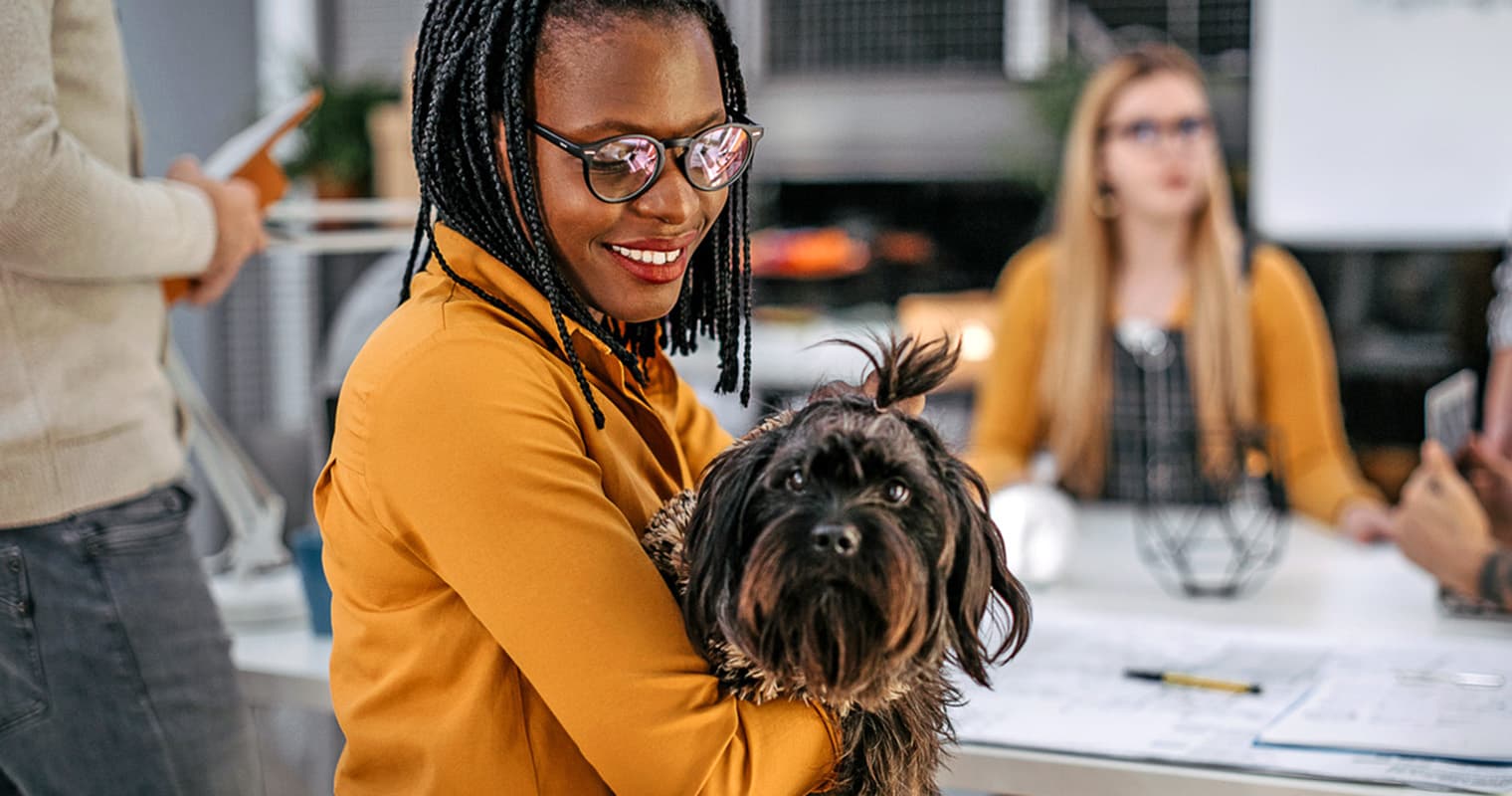 The 15 Best Dog Breeds for Pet-Friendly Workplaces
