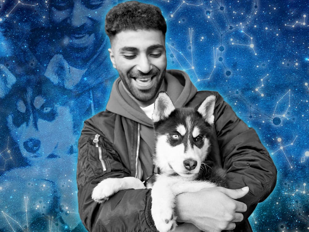 What Dog Breed Are You Based on Your Zodiac Sign?