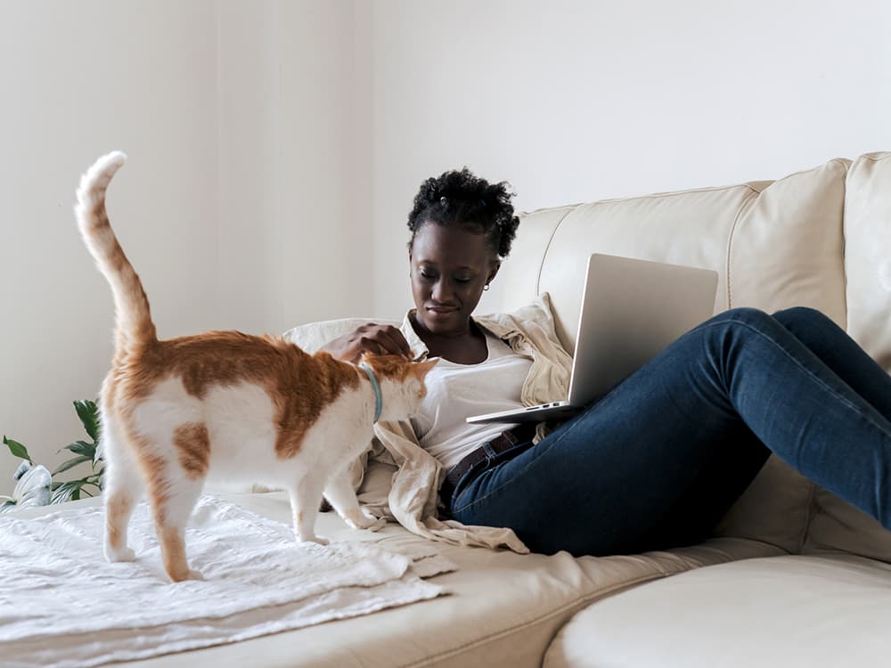 Your Cat Can Read the Room Better Than You Think