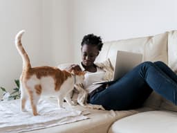 Your Cat Can Read the Room Better Than You Think