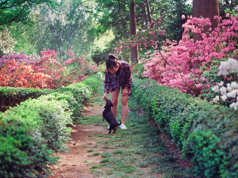 How to Take Your Dog On a Mindful Nature Walk