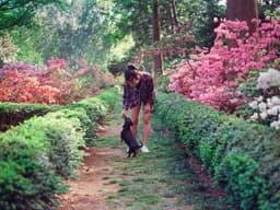 How to Take Your Dog On a Mindful Nature Walk