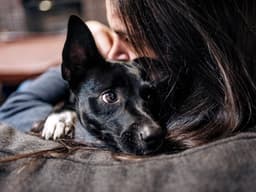 Pet Parent Guilt Is Very Real—Here’s How to Stop Feeling So Bad About It