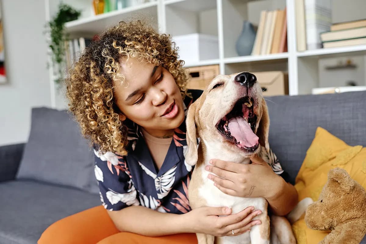 dog sitting next to person on sofa