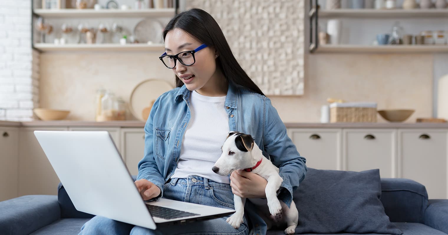 How Can I Find a Home for My Jack Russell Terrier?