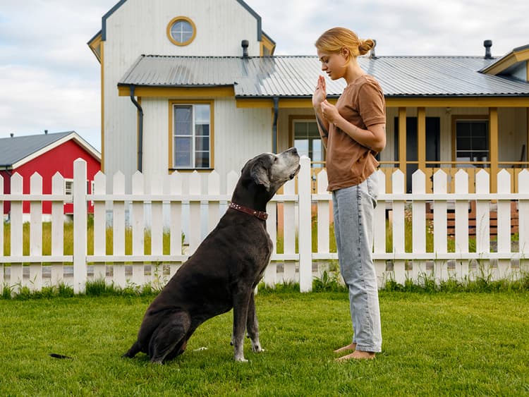 Are Friends and Family Derailing Your Dog’s Training?