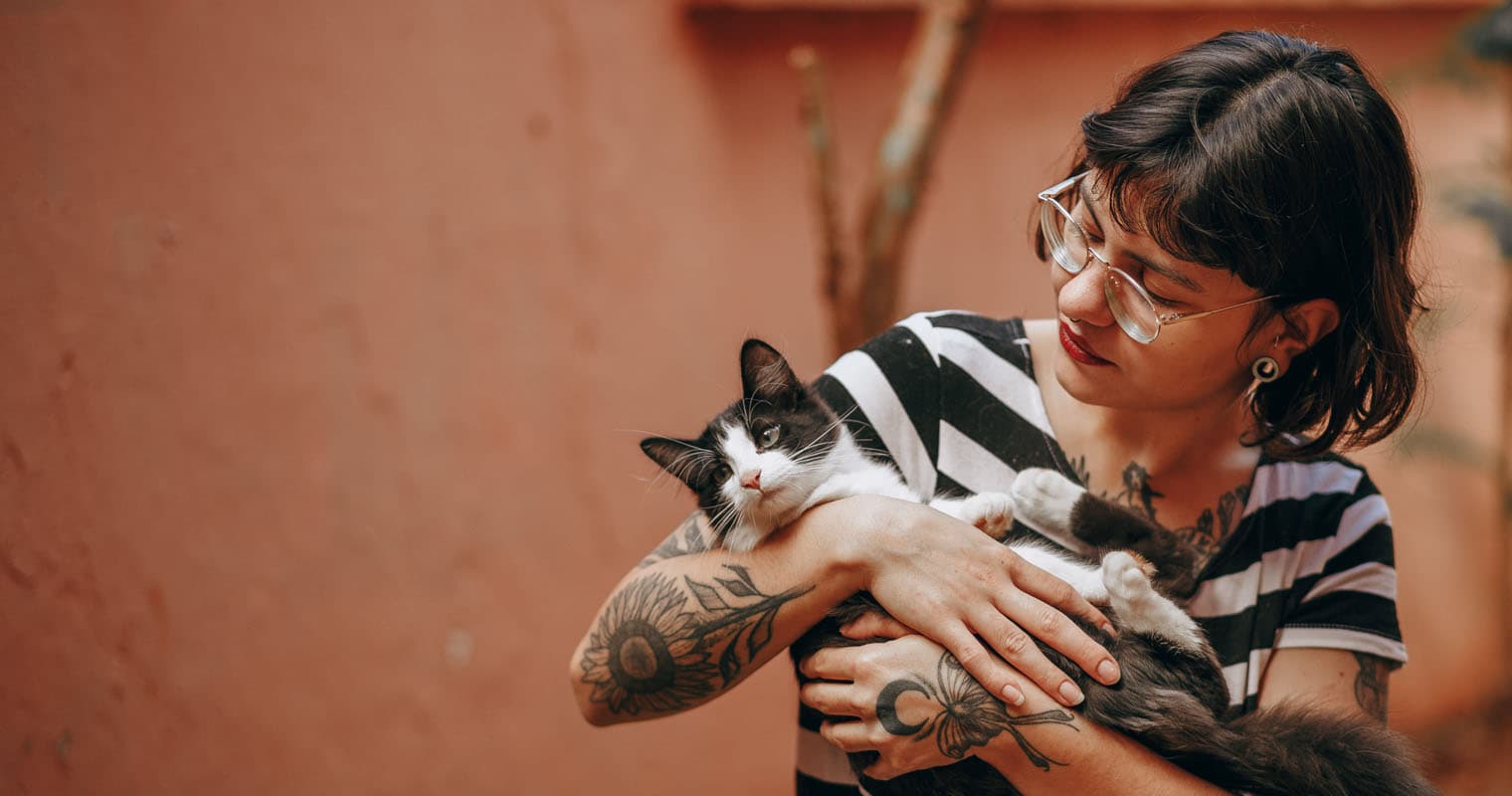 6 Things Every First-Time Cat Foster Parent Should Know